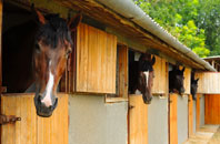 free Shawfield stable construction quotes